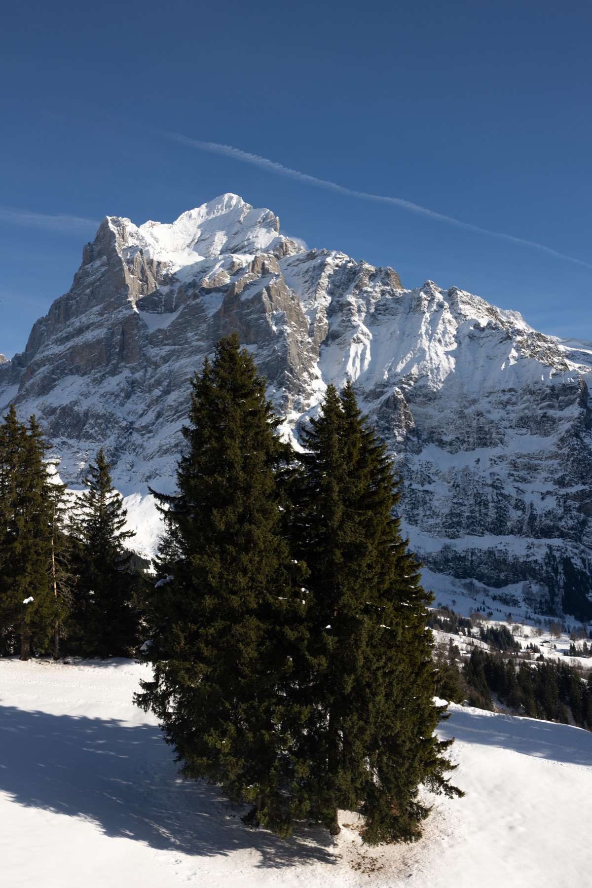 Eiger Lodge, Grindelwald, Szwajcaria, Hotele